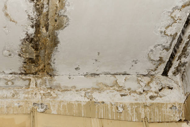 Best 24/7 water damage repair  in USA